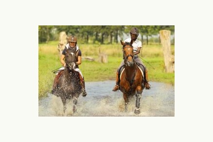 Groepsaccommodatie Manege Gasselte aan de Drentse Staatsbossen VMP044